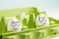 Two eggs in eggbox. Optimist and pessimist