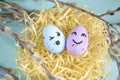 Two eggs with emoji in the nest. Emoticons on eggs for Easter. Festive eggs in a nest among the branches on a blue Royalty Free Stock Photo