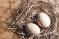 Two eggs lie in the hay Royalty Free Stock Photo