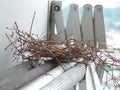 Two eggs of red collared dove birds in the nest on aluminum cloths racks. Royalty Free Stock Photo