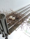 Two eggs of red collared dove birds in the nest on aluminum cloths racks. Royalty Free Stock Photo