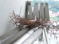 Two eggs of red collared dove birds in the nest on aluminum cloths racks. Royalty Free Stock Photo