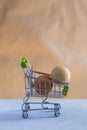 Eggs in shopping cart