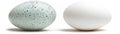Two Eggs Speckled vs. Plain, Digital Still Life, Contrast, Texture, Egg photography. Egg, Still Life Royalty Free Stock Photo