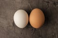 Two eggs, white and brown on a dark background. Royalty Free Stock Photo