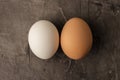 Two eggs, white and brown on a dark background. Royalty Free Stock Photo