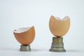 Two eggshells on coins. Pension savings. Investment strategy and passive income plan.