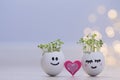 Two eggshells smiley faces with cress sprouts and pink heart. Easter eggshell planters