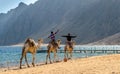 Two egyptian boys riding a camel