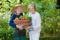 Two Elderly Holding a Basket of Veggies Together. Royalty Free Stock Photo