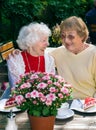 Two elderly ladies enjoying coffee together.