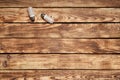 Two electric light bulbs on wooden planks Royalty Free Stock Photo