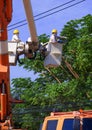 Two electricians in bucket boom truck cutting high tree branches for safety of electrical transmission system Royalty Free Stock Photo