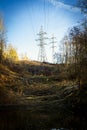 Two electricity pylons surrounded by trees in autumn on a hill Royalty Free Stock Photo