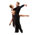Two elegance dancers. Royalty Free Stock Photo
