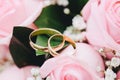 Two elegant gold rings for the wedding of lovers with scenery from fresh roses. Royalty Free Stock Photo