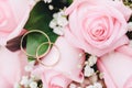 Two elegant gold rings for the wedding of lovers with scenery from fresh roses. Royalty Free Stock Photo