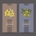 Two elegant labels with ylang and bergamot bouquet color sketch. Royalty Free Stock Photo