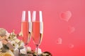 Two elegant romantic glasses with sparkling golden champagne with bouquet of roses against a pink background.