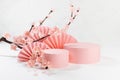 Two elegant spring cylinder podiums mockup, asian fans, branch of gentle pink sakura flowers in sunlight, shadow, white interior