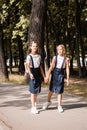 Two elementary pupils smile and hold hands and go to school on a warm day. Vertical view Royalty Free Stock Photo