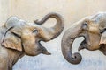 Two elephants Royalty Free Stock Photo