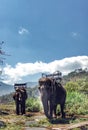 Two elephants with seats for passengers against the backdrop of mountains