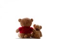 Two embracing bear cubs on a white background Royalty Free Stock Photo