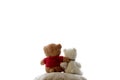 Two embracing bear cubs on a white background Royalty Free Stock Photo