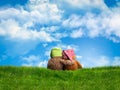 Two embracing Teddy bear sitting back. Green grass, blue sky, open space. The concept of friendship, empathy, love Royalty Free Stock Photo