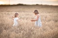 Two emotional sisters girls dance at sunset