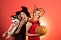 Two sexy Halloween girls with pumpkin. Festive halloween design. Emotional young women in halloween costumes on party Royalty Free Stock Photo