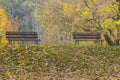 Two empty benches in the autumn park Royalty Free Stock Photo