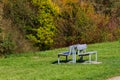 Two empty benches on a green lawn opposite the forest Royalty Free Stock Photo