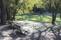 Two empty benches in the park Royalty Free Stock Photo