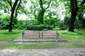 Two Empty Benches in a Park Royalty Free Stock Photo