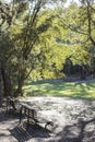 Two empty benches in the park Royalty Free Stock Photo