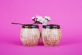 Two empty brown ceramic cups on a pink background. A branch with flowers and a cup. Two coffee cups on the table. Brown cups of Royalty Free Stock Photo