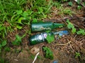 Two empty consumed Heineken beer bottle was found or thrown on the bushes Royalty Free Stock Photo