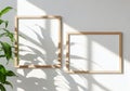 Two empty picture frames on a white wall with plant shadows Royalty Free Stock Photo