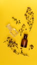 Two empty vials and dried origano flowers on yellow background.