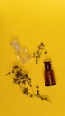 Two empty vials and dried origano flowers on yellow background.