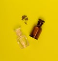 Two empty vials and dried origano flowers on yellow background.