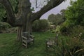 Two empty wooden chairs facing each other under a thick tree