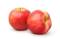 Two Envy apples on white Royalty Free Stock Photo