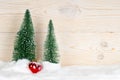 Two evergreen fir trees and red heart Royalty Free Stock Photo