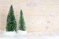 Two evergreen fir trees, snowy christmas composition Royalty Free Stock Photo