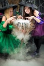 two evil witches brew a potion in the pot Royalty Free Stock Photo