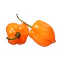 Two Extremely Hot Habanero Peppers isolated on white background