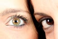 Two eye Royalty Free Stock Photo